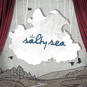 The Salty Sea