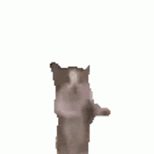 YTBluey 的头像