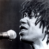 Djavan - Show no Canecão por R.T.Fasanello - 1990.png