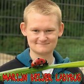 Ladybug