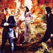 Seed - 90's Band