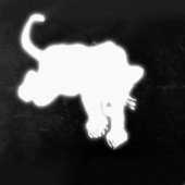 43da61e56effe59c0d791996361144e3.1000x1000x1.jpg