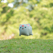 Chixiaochi 的头像