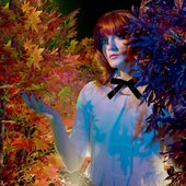  Florence + the Machine 