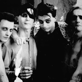 Les maîtres
