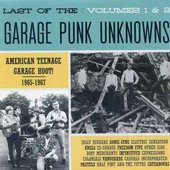Last Of The Garage Punk Unknowns Volumes 1 & 2 (American Teenage Garage Hoot! 1965-1967)