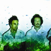 Guster