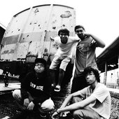 Sharkbite Line Up