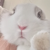 Mabiy 的头像