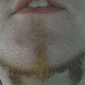 Dustin Beyette's beard