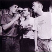 thehousemartins_6.JPG