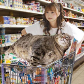 D-miao 的头像
