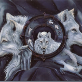 Avatar for kerrwolf
