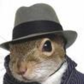 S0nicSquirrel için avatar