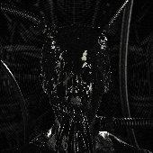 Introsphere