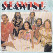 seawind_2.jpg