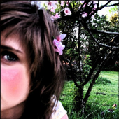 Avatar for mosia1991