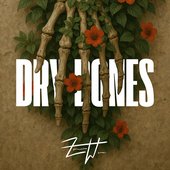 Dry Bones