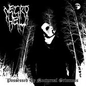 Possessed By Nocturnal Grimness