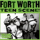 Fort Worth Teen Scene!, Vol. 3