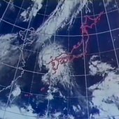 コレクション II