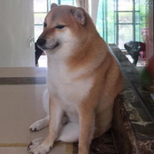Picture of Cheems