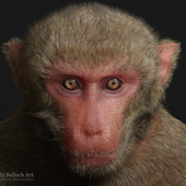 Avatar for chlopaszek123