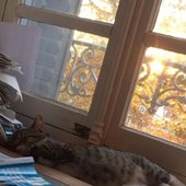 IMG_0581.jpeg