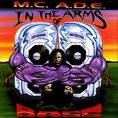In The Arms Of Bass