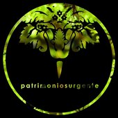 Patrimoniosurgente
