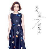 再见只是陌生人