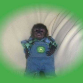 Avatar for assortedfruit