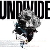 UNDIVIDE