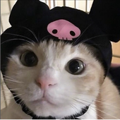 Leonidkaz_ 的头像