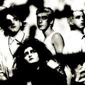 Siouxsie and the Banshees