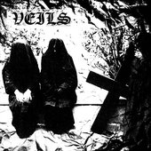 02 - Veils - Frost Veils 7 .jpg