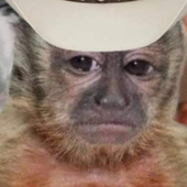 Avatar for browtfis3