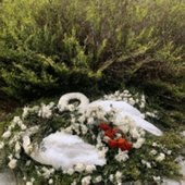 We found two dead swans and filled their bodies with flowers