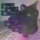 clze 的头像
