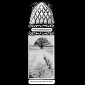 Tracing Roots Now Severed