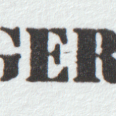 Siegertyp Logo