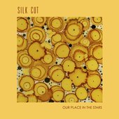 Our Place in the Stars