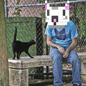 heilcat