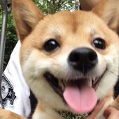 louisenwk 的头像