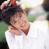 南野陽子