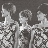 Velvelettes 1967