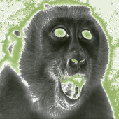 Avatar for JCSounds