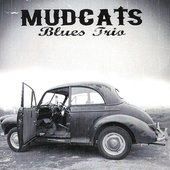 Mudcats Blues Trio