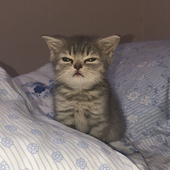 Kimi_720 的头像