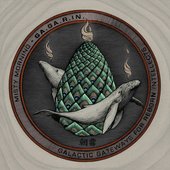 GA.GA.R.IN. - Galactic Gateways for Reborn Intellects